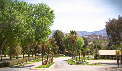 Soledad Canyon Cottage 2 image 19